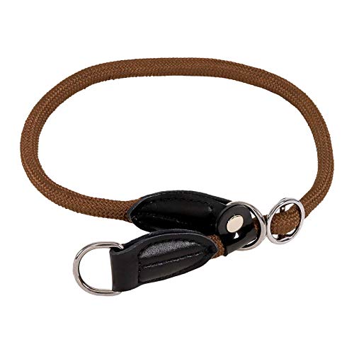 lionto Hundehalsband aus strapazierfähigem Nylon für Hundetraining, Länge 30 cm, 0,8 cm Dicke, Zugstopp Halsband für Hunde, Lederimitat mit Metallring & Anpassung durch stufenlosen Schieber, braun von lionto