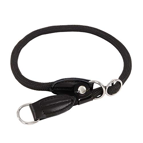 lionto Hundehalsband aus strapazierfähigem Nylon für Hundetraining, Länge 30 cm, 0,8 cm Dicke, Zugstopp Halsband für Hunde, Lederimitat mit Metallring & Anpassung durch stufenlosen Schieber, schwarz von lionto