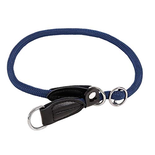 lionto Hundehalsband aus strapazierfähigem Nylon für Hundetraining, Länge 35 cm, 0,8 cm Dicke, Zugstopp Halsband für Hunde, Lederimitat mit Metallring & Anpassung durch stufenlosen Schieber, blau von lionto