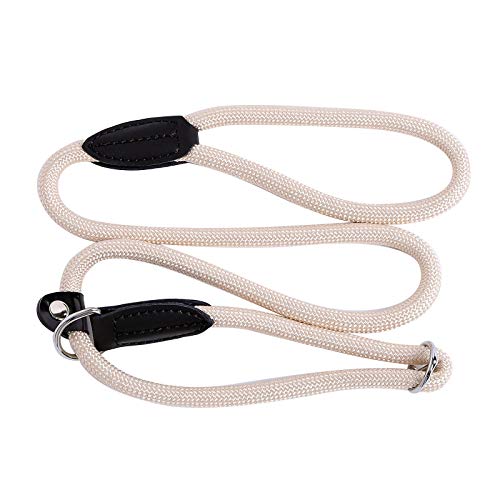 lionto Retrieverleine robust und wetterfest für Hunde Aller Größen, schnell anzulegende Hundeleine und Halsband in Einem, 120 cm, fellschonende Führleine mit integriertem Zugstopp, vegan, beige von lionto