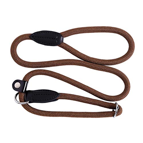 lionto Retrieverleine robust und wetterfest für Hunde aller Größen, schnell anzulegende Hundeleine und Halsband in Einem, 120 cm, fellschonende Führleine mit integriertem Zugstopp, vegan, braun von lionto