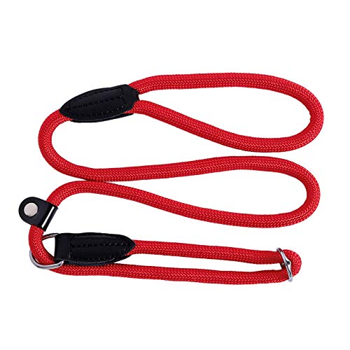 lionto Retrieverleine robust und wetterfest für Hunde Aller Größen, schnell anzulegende Hundeleine und Halsband in Einem, 120 cm, fellschonende Führleine mit integriertem Zugstopp, vegan, rot von lionto