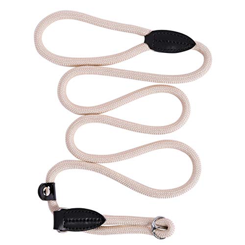 lionto Retrieverleine robust und wetterfest für Hunde aller Größen, schnell anzulegende Hundeleine und Halsband in Einem, 170 cm, fellschonende Führleine mit integriertem Zugstopp, vegan, beige von lionto