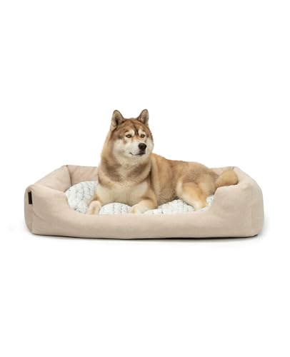 lionto Hundekörbchen mit flauschigem Wendekissen, kuscheliges Heimtierbett in meliertem Design mit tiefem Einstieg für Hunde & Katzen Aller Größen, 110x80 cm, weiches Hundebett, beige von lionto