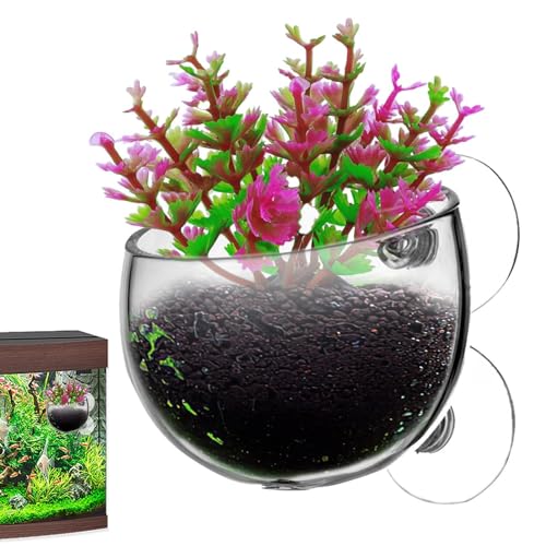 Aquarium-Blumentopf, lebender Pflanztopf mit Saugnäpfen, Glastopf, transparente Aquarium-Pflanztöpfe mit Saugnäpfen für Aquariumpflanzen von diess