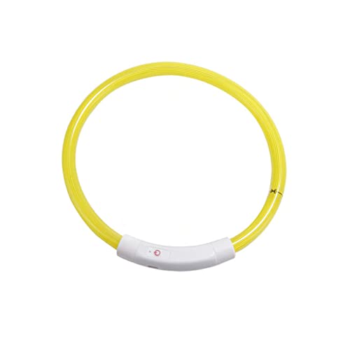 dijiusidy Haustierhalsband LED Beleuchtung Einstellbares ABS PVC USB Wiederaufladbar Leuchtend Verlustverhinderung Tiere Halsbänder Zubehör Nacht, Gelb, M von dijiusidy