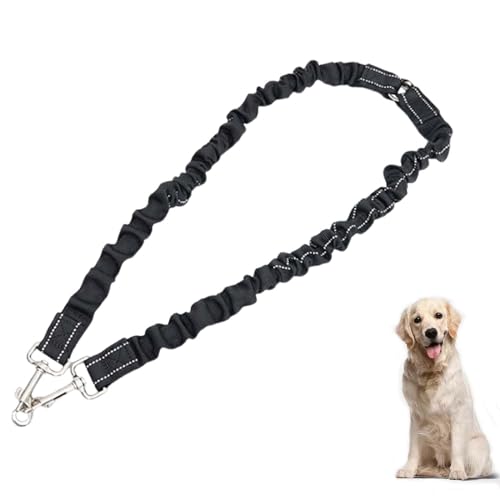 Dinghaole Hundeleine für Zwei Hunde, 360° Drehungsfreie Spazieren Leine für 2 Hund, Doppelleine für Klein & Große Hunde Dinghaole Hundeleine für Zwei Hunde, 360° Drehungsfreie Spazieren Leine für 2 Hund, Doppelleine für Klein & Große Hunde von dinghaole