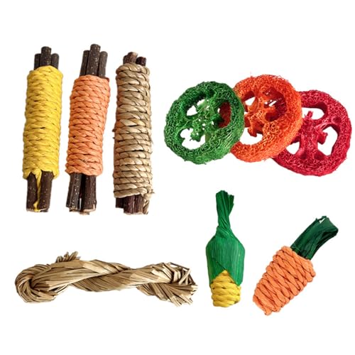 divuukyi Holzzweig-Schleif-Set, 9-teilig, für Hamster, Nager, Zahnpflege, Kaustäbe, Käfig-Unterhaltung, Spielsets von divuukyi