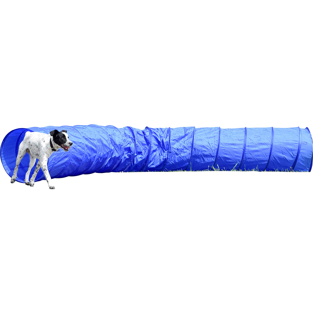 dobar Agility Tunnel 500 cm lang, Ø 60 cm von dobar petlife