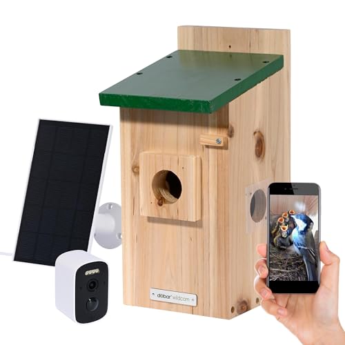 Luxus-VOGELHAUS Nistkasten Eazy mit WiFi Kamera und Solar Panel - Vogelbeobachtung mit Nisthilfe aus Holz und App - Ø 30 mm Einflugloch - Grün von dobar