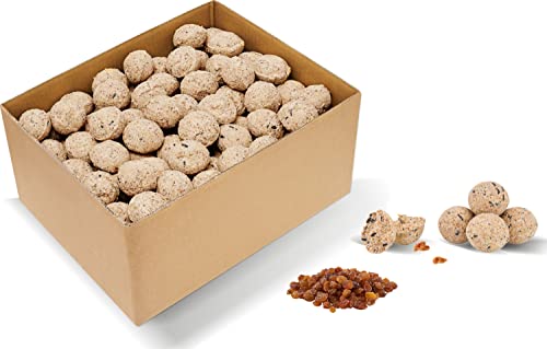 dobar® 24118e - 100 Große Frucht-Meisenknödel ohne Netz - 100 Futterknödel mit je 90 Gramm für die Ganzjahresfütterung - Vogelfutter für Wildvögel - 9000 Gramm… von dobar