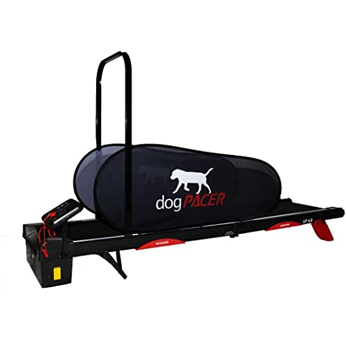 dogPACER 94697 4.0 Hunde-Laufband, Schwarz von dogPACER