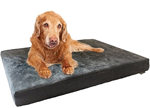 Dogbed4less Orthopädisches Hundebett mit Memory-Schaum für mittelgroße und große Haustiere, wasserdichtes Futter, grauer Bezug, 104.6x71.1 cm (passend für 106.7x71.1 cm) von dogbed4less