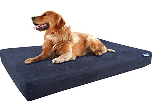 Dogbed4less XL Orthopädisches Hundebett mit Gel infundiert, kühlendes Memory-Schaum, für mittelgroße bis große Haustiere, wasserdichtes Futter und Wildleder-Espresso-Außenbezug, 119 x 74 x 10 cm von dogbed4less