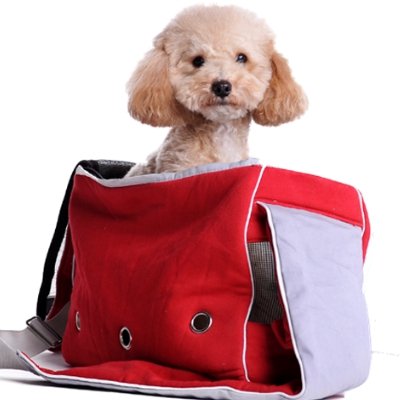 Rote Boxy Messenger Bag Hundetrage von dogo