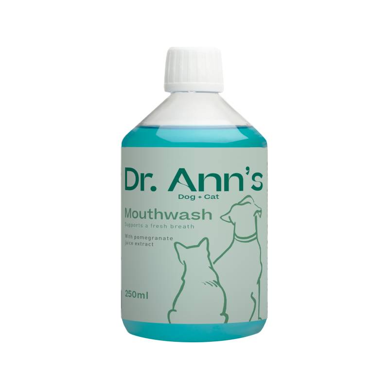 Dr. Ann's Mundwasser - 2 x 250 ml von Dr. Ann's