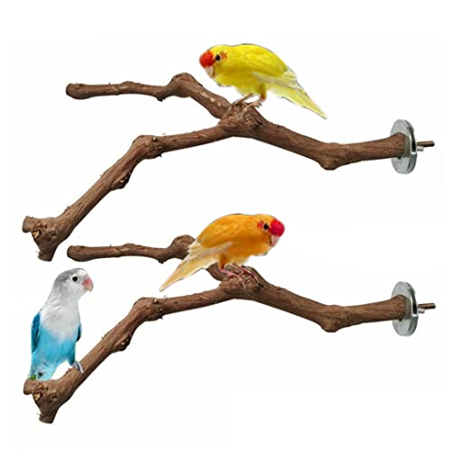 Barches Papageienständer Barsch Vogel stehende Traubenstab natürliche stehende Zweige für Vogelkäfigspielzeug 2pcs von dsbdrki