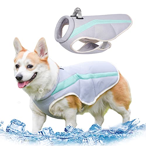 Kostüme Hundekühlung Weste Schwimmweste Hund Kaltweste für große, mittelgroße Hundekühlmantel mit D -Ring und verstellbare Träger mit reflektierenden Streifen l l von dsbdrki