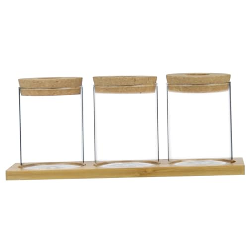 Wachsende Kits -Systeme Pflanzen Terrarium 3pcs Wasseranpflanzungsausbreitungsgläser mit Tablett -Deckel transparent minimalistische Propagationsstationen für Tabletop -Toilettenbalkone von dsbdrki