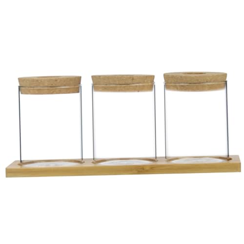 Wachstumskitsystem Pflanzen Terrarium 3pcs Pflanze Propagationstöpfe mit Tabletts mit Deckel, transparente minimalistische Propagationsstation für Tischplatten, Toilette, Balkon von dsbdrki