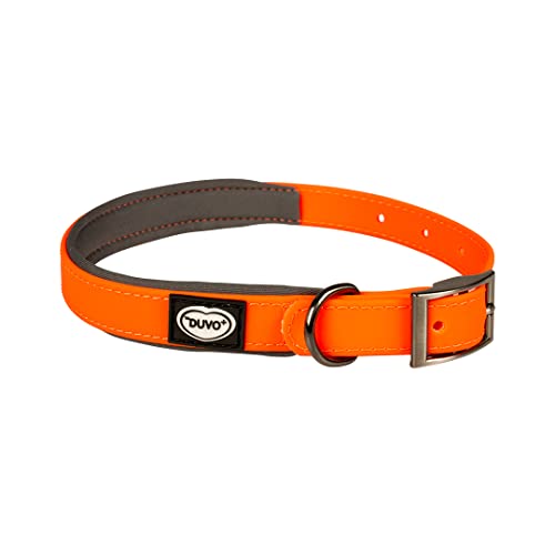 duvoplus, Hundehalsband, wasserfest, aus Neopren, Größe 35 – 55 cm/20 mm, Neonorange, ideal für abenteuerliche Spaziergänge und Expeditionen von Duvoplus