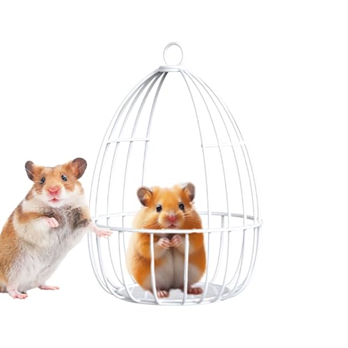 dzqad Hamster Hängematte - Zwerghamster Spielzeug | Käfig Hängeschaukel Nest Haustierzubehör Für Streifenhörnchen Kleintiere Spielen Zwergkaninchen dzqad Hamster Hängematte - Zwerghamster Spielzeug | Käfig Hängeschaukel Nest Haustierzubehör Für Streifenhörnchen Kleintiere Spielen Zwergkaninchen von dzqad