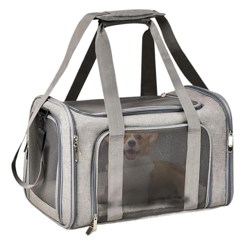 dzqad Transportbox für Haustiere, Transportbox für kleine Katzen, Atmungsaktive Katzentasche für die Reise, Kleine Tragetasche für Katzen und Hunde, tragbare Haustiertrage-Reisetasche für Reisen, von dzqad