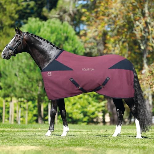 Equityum Leilah Baumwolldecke, schützt das Pferd vor Temperaturschwankungen (120 cm, Blau/Braun) von e EQUITYUM