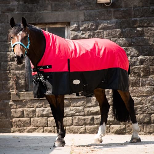 eQuitack Your Passion Is Our Mission Outdoor Winterdecke Turnout 100% Wasserdicht 1200D 200G Fulling Highneck - Navy/Raspberry 145cm von eQuitack Your Passion Is Our Mission