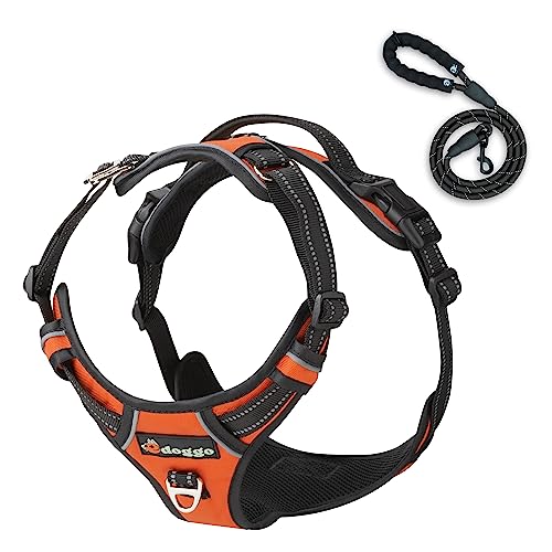 Edoggo Accessories Extra großes Hundegeschirr für Hunde, verstellbar, atmungsaktiv, gepolstert, mit einer kostenlosen Leine – Anti-Schuss-Geschirr für Hunde (XL, Orange) von edoggo accessories