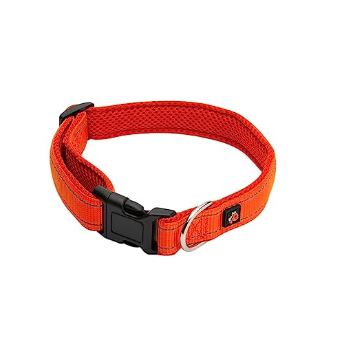 Edoggo Accessories Hundehalsband Große Größe – Zubehör für Hunde, Nylon-Hundehalsband – weiches, widerstandsfähiges, verstellbares Hundehalsband (L,Orange) von edoggo accessories