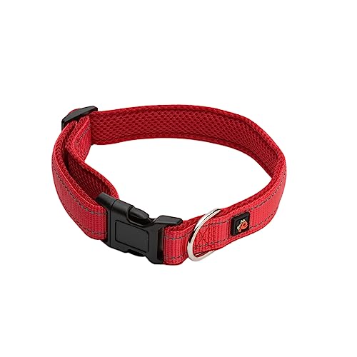 Edoggo Accessories Hundehalsband Großer Hund – Zubehör für Hunde, Hundehalsband aus Nylon, weich, strapazierfähig, verstellbar (L, Rot) von edoggo accessories