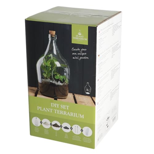 eeschert Design - Pflanzliches Terrarium zum Selbermachen, 3 Liter von Esschert Design