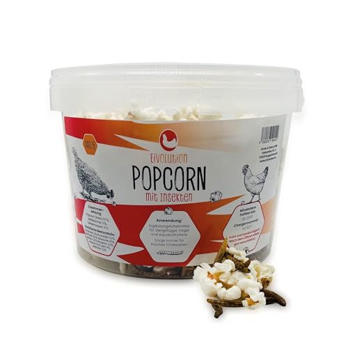 Eivolution Popcorn mit Insekten – 3L - Nährstoffreicher Leckerbissen für Geflügel - Reich an Protein von eivolution