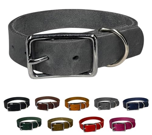 Hunde Halsband Fettleder Silber/XS - XXL für kleine & große Hunde/verstellbar/Flaches Halsband in verschiedenen Breiten (Grau, S (36-42cm) Breite: 12mm) von elropet