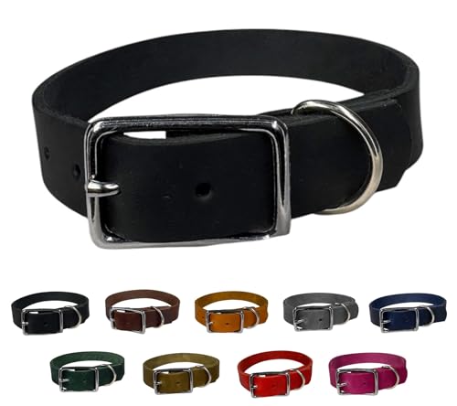 Hunde Halsband Fettleder Silber/XS - XXL für kleine & große Hunde/verstellbar/Flaches Halsband in verschiedenen Breiten (Schwarz, M (41-47cm) Breite: 12mm) von elropet