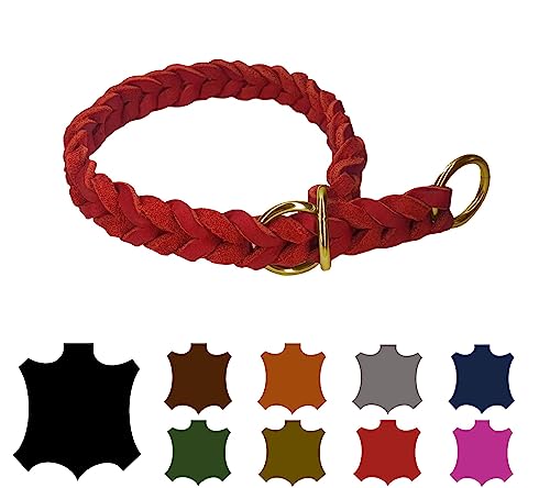 Hundehalsband Fettleder/Halsband ZugStopp Messing/kleine Hunde & große Hunde / 15mm / 20mm / 25mm / XXS - XL (30 Breite: 15mm, Rot) von elropet