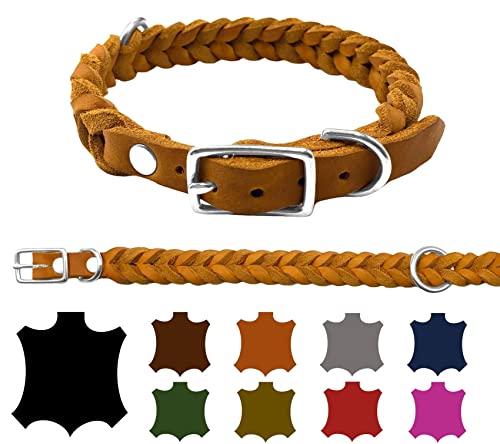 Hundehalsband Fettleder kleine Hunde/große Hunde verstellbar handgeflochten Made IN Germany (L 42cm-48cm Breite:20mm, Cognac) von elropet