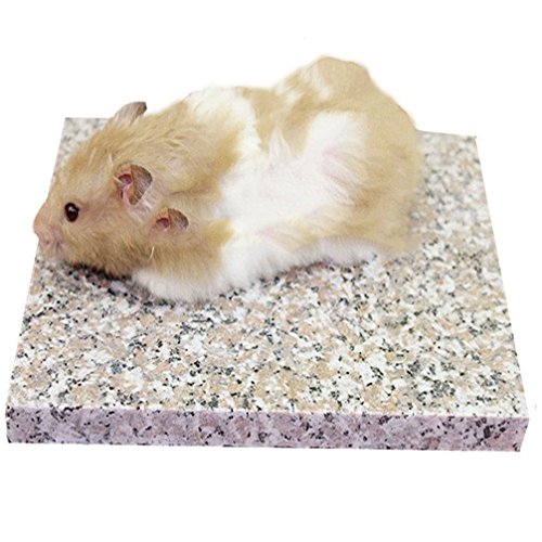 Emours Hamster Chiller, kühler Granitstein, Kleintierbedarf, 8,9 x 8,9 cm von emours