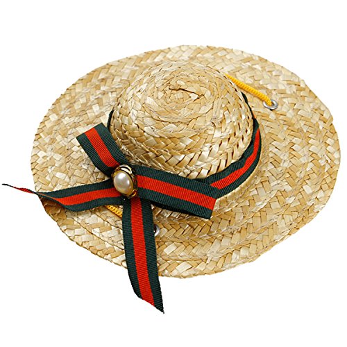 ensecoo Mini Haustier Hunde Sombrero Sonnenhut Beach Strohhuete Hunde Mode Stil Hut Fuer Hunde und Katzen Lustige Zubehoer (dunkel Gruen & rot) von ensecoo