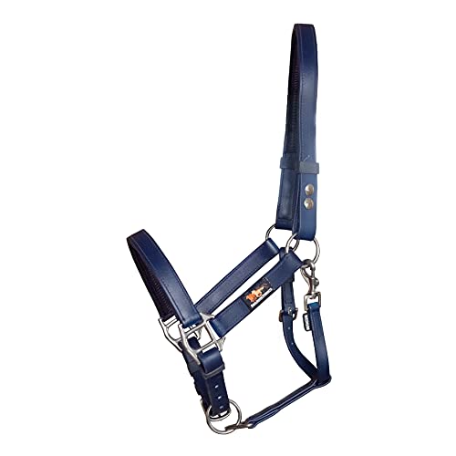 equilibrium Stellar Head Collar Small Navy von equilibrium