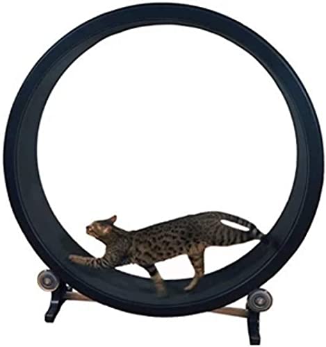 Hundelaufband Katzen-Laufrad Katzen-Klettergerüst Katzenspielzeug-Rolle Katzen-Laufband Katzen-Gewichtsabnahme-Gerät für die Gewichtsabnahme und die tägliche Bewegung von Haustieren von esmen