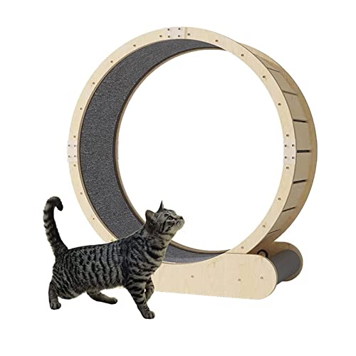 Hundelaufband Laufrad für Katzen, Laufband für Katzen, niedliche Katzenmöbel, Gerät zum Abnehmen, TPE, leise und geräuschlose Rollen für gesunde Katzen von esmen