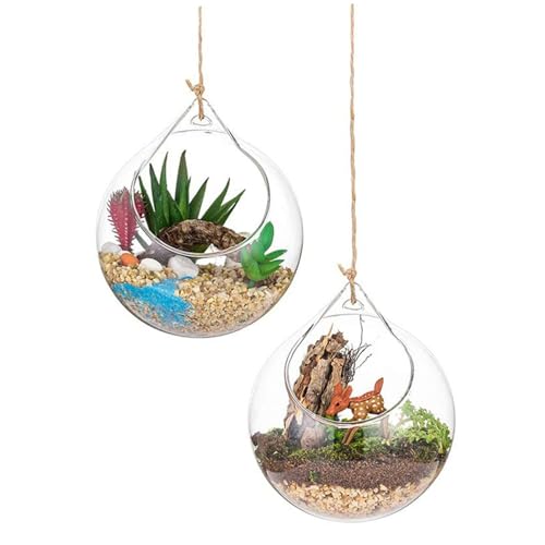 Glas Terrarium Globes 2pcs 3,93 Zoll transparante runde große Öffnung Hanging Terrarium Glassglas hängende Teelichthalter mit Lanyard von eurNhrN