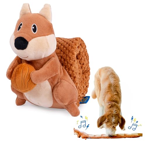 everyday joy Hundespielzeug mit quietschendem weichem Plüsch-Kauspielzeug für kleine mittelgroße Hunde, interaktiver Spielkumpel mit knisterndem Geräusch, Eichhörnchen von everyday joy