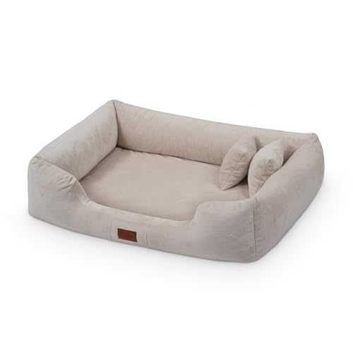 exclusive BED Orthopädisches Hundebett Candy Grosse Mittelgroße Kleine Hunde - Hundekissen Hundematte aus Plüsch - rutschfest Kuschelig Langlebig Abriebfest Reißfest (XXL+|130x100cm, Creme) von exclusive BED