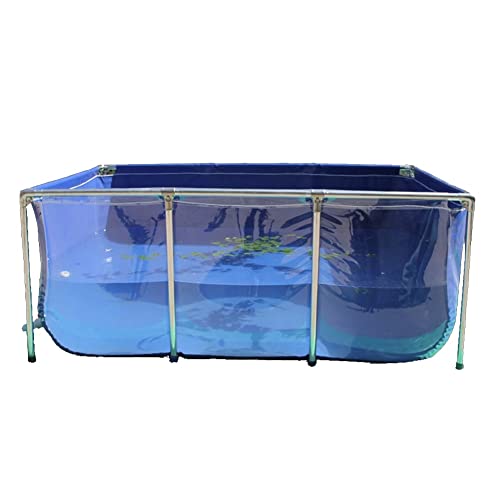 Aufzuchtbecken Für Fische, PVC-Leinwand Mit Stahlrahmen, Aquarienbecken Mit Sichtfenster, Teiche Anzeigen Für Koi, Goldfisch (Farbe : Blue-Clear, Größe : 100x60x35cm) von ezkxoprs