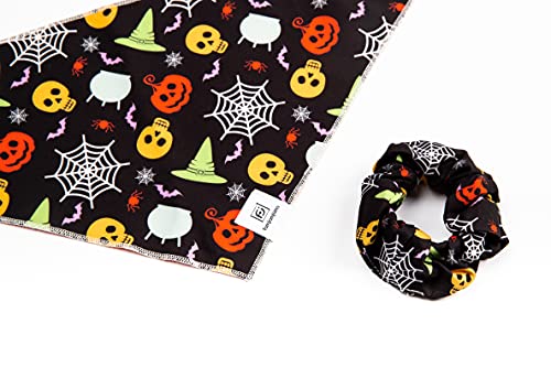 famjamjams Passendes Hundehalstuch und Besitzer-Haargummi: Halloween, Größe L/XL von famjamjams