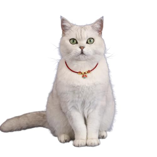 Haustierhalsband Anhänger Katzen Halsband für Hochzeit Kleine Katzen Dekoratives Halsband Elegante Katzen Halskette für Geburtstag Party Hochzeit Katzen Halsband von fanlangyi