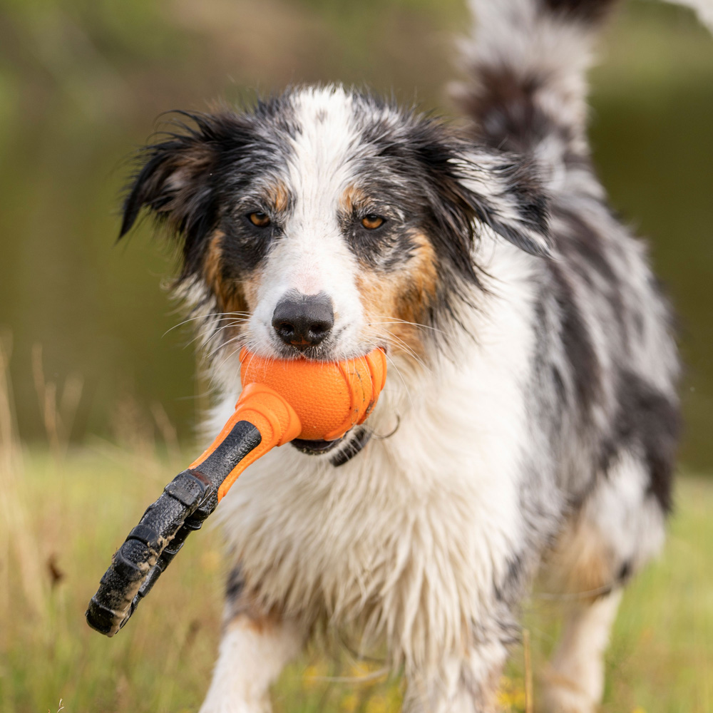 Hundespielzeug Griff-Ball schwarz, Länge: ca. 26 cm von fehlt